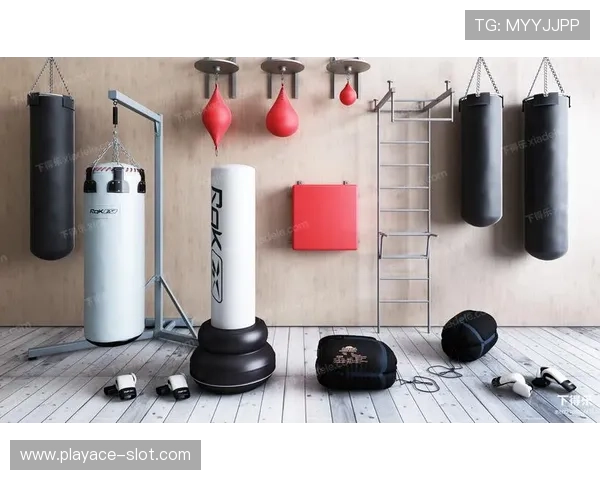 围绕Knight划船机与Bin哥拳击沙包打造高效双重训练指南 围绕Knight划船机与Bin哥拳击沙包打造高效双重训练指南